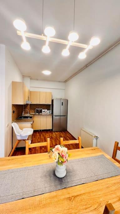 Otopeni Airport Apartment With Private Garden Kültér fotó